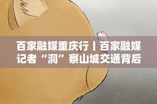 百家融媒重庆行丨百家融媒记者“洞”察山城交通背后的故事