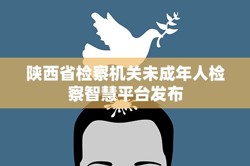 陕西省检察机关未成年人检察智慧平台发布