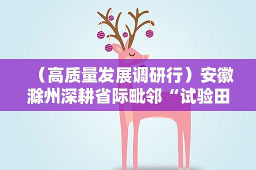 （高质量发展调研行）安徽滁州深耕省际毗邻“试验田” 跑出发展“加速度”