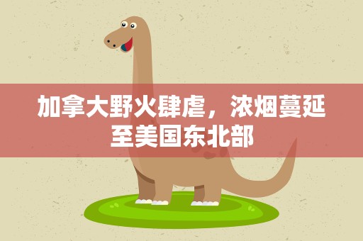 加拿大野火肆虐，浓烟蔓延至美国东北部