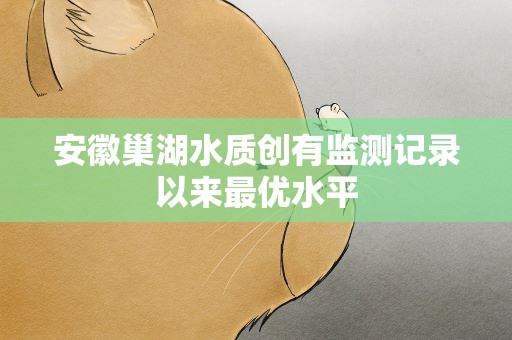 安徽巢湖水质创有监测记录以来最优水平