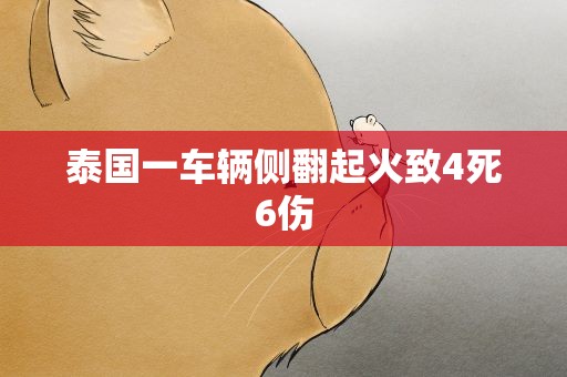 泰国一车辆侧翻起火致4死6伤