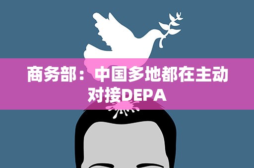 商务部：中国多地都在主动对接DEPA