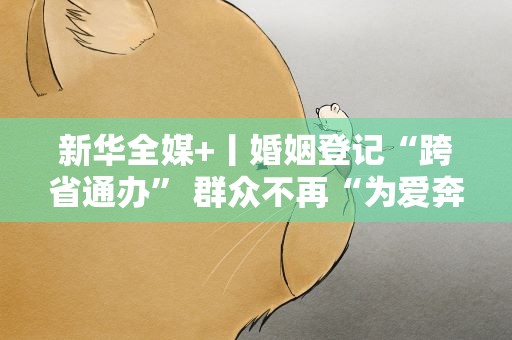 新华全媒+丨婚姻登记“跨省通办” 群众不再“为爱奔波”
