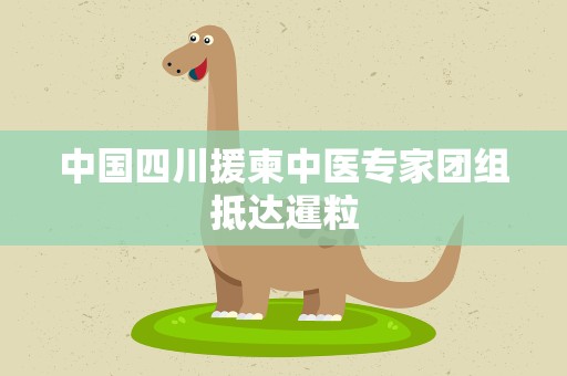 中国四川援柬中医专家团组抵达暹粒