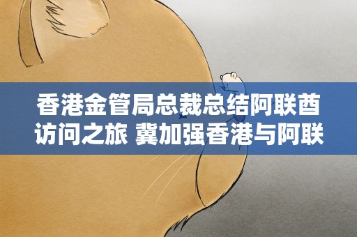 香港金管局总裁总结阿联酋访问之旅 冀加强香港与阿联酋金融合作