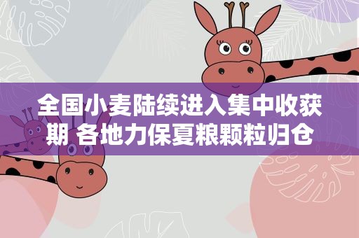 全国小麦陆续进入集中收获期 各地力保夏粮颗粒归仓
