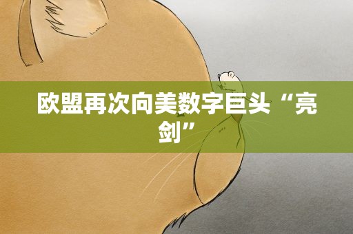 欧盟再次向美数字巨头“亮剑”