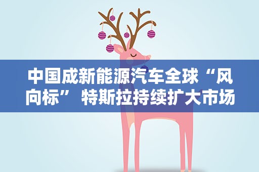 中国成新能源汽车全球“风向标” 特斯拉持续扩大市场布局