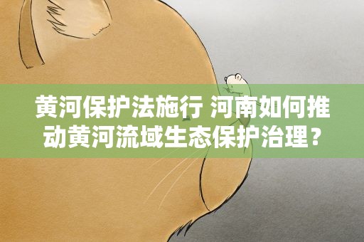 黄河保护法施行 河南如何推动黄河流域生态保护治理？