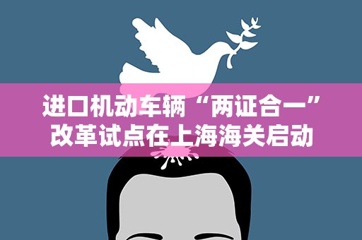 进口机动车辆“两证合一”改革试点在上海海关启动