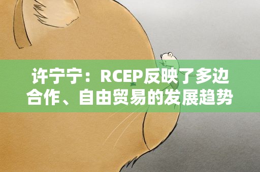 许宁宁：RCEP反映了多边合作、自由贸易的发展趋势