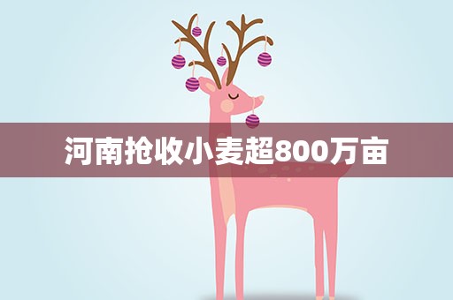 河南抢收小麦超800万亩