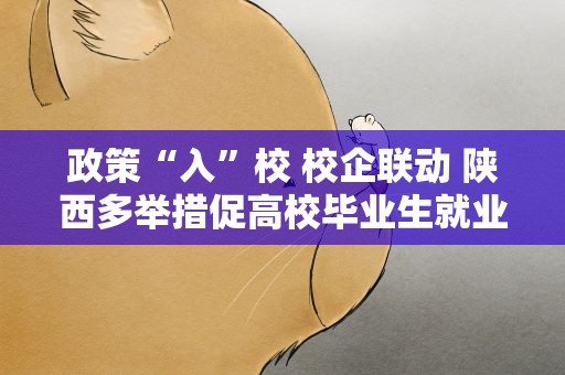 政策“入”校 校企联动 陕西多举措促高校毕业生就业创业