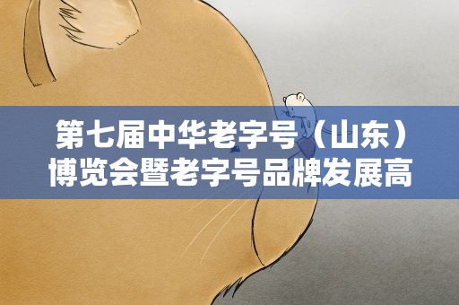 第七届中华老字号（山东）博览会暨老字号品牌发展高峰论坛9日开幕