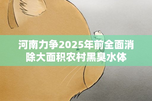 河南力争2025年前全面消除大面积农村黑臭水体