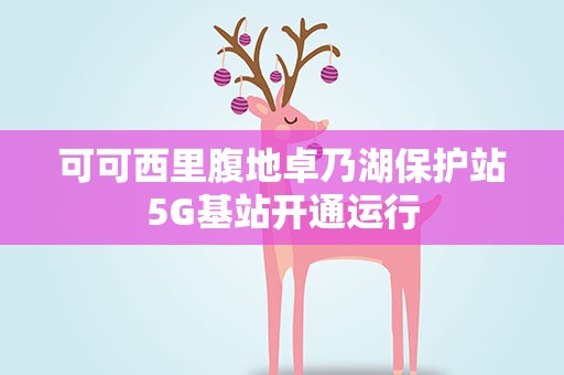 可可西里腹地卓乃湖保护站5G基站开通运行