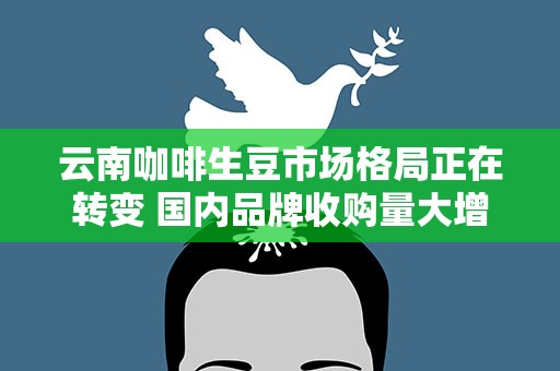 云南咖啡生豆市场格局正在转变 国内品牌收购量大增