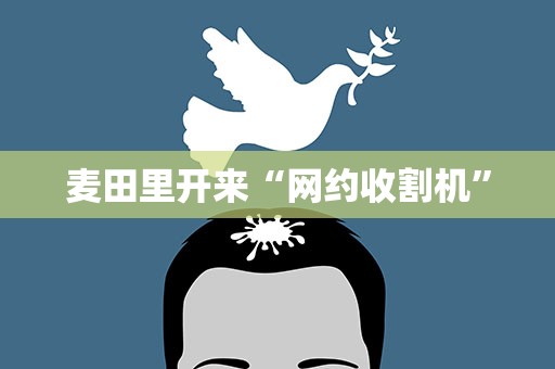 麦田里开来“网约收割机”