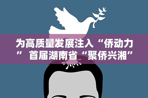 为高质量发展注入“侨动力” 首届湖南省“聚侨兴湘”活动举行