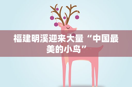 福建明溪迎来大量“中国最美的小鸟”