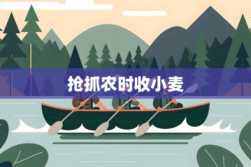 抢抓农时收小麦