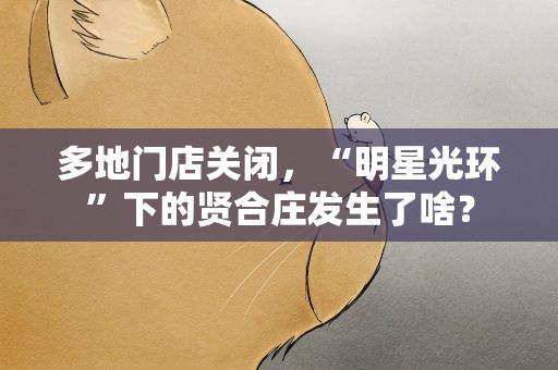 多地门店关闭，“明星光环”下的贤合庄发生了啥？