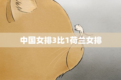 中国女排3比1荷兰女排