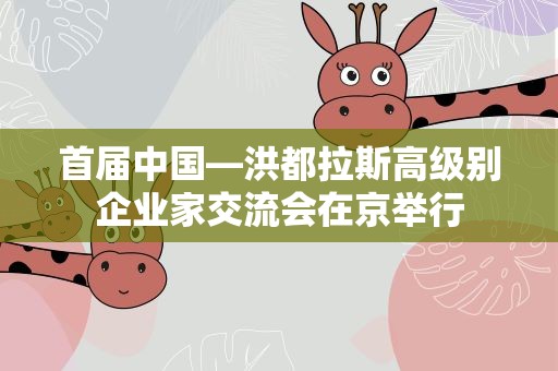 首届中国—洪都拉斯高级别企业家交流会在京举行