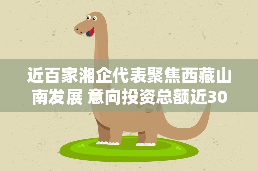 近百家湘企代表聚焦西藏山南发展 意向投资总额近30亿元