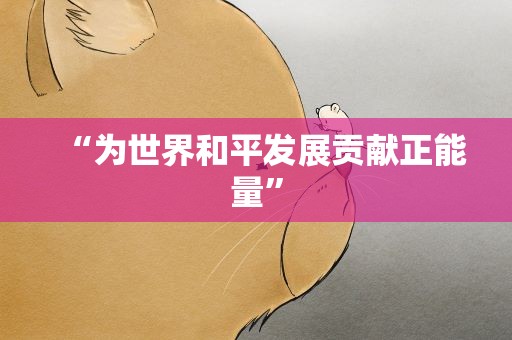 “为世界和平发展贡献正能量”