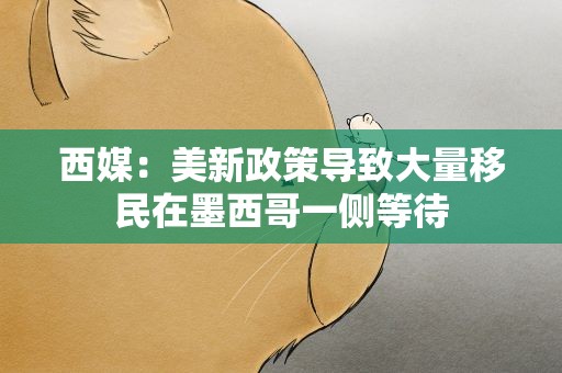 西媒：美新政策导致大量移民在墨西哥一侧等待