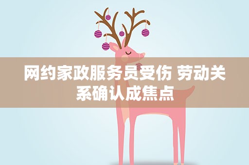 网约家政服务员受伤 劳动关系确认成焦点