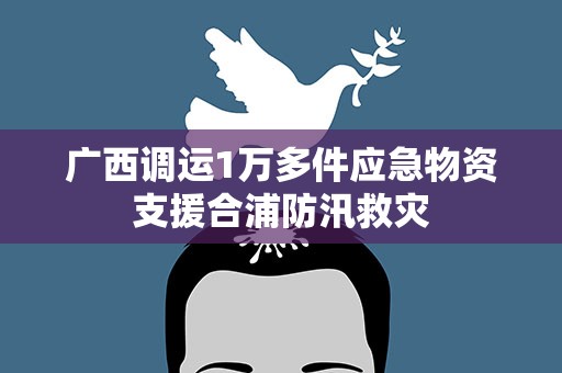 广西调运1万多件应急物资支援合浦防汛救灾