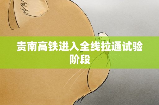 贵南高铁进入全线拉通试验阶段