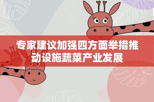 专家建议加强四方面举措推动设施蔬菜产业发展