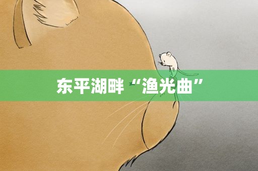 东平湖畔“渔光曲”