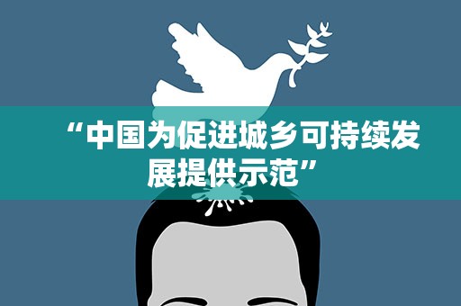 “中国为促进城乡可持续发展提供示范”