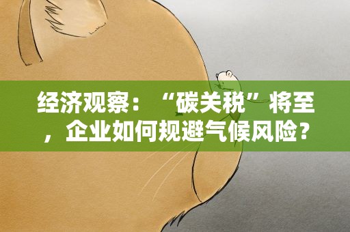 经济观察：“碳关税”将至，企业如何规避气候风险？