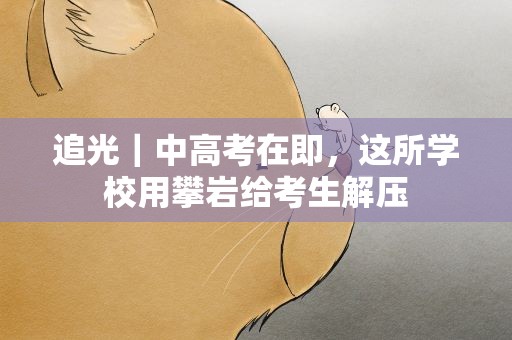 追光｜中高考在即，这所学校用攀岩给考生解压