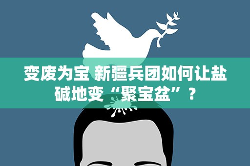 变废为宝 新疆兵团如何让盐碱地变“聚宝盆”？