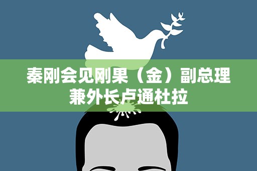 秦刚会见刚果（金）副总理兼外长卢通杜拉