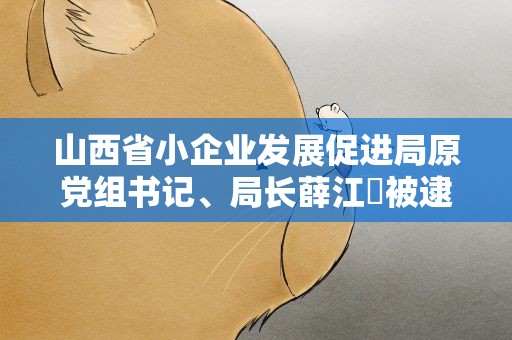 山西省小企业发展促进局原党组书记、局长薛江炤被逮捕