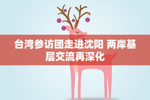 台湾参访团走进沈阳 两岸基层交流再深化