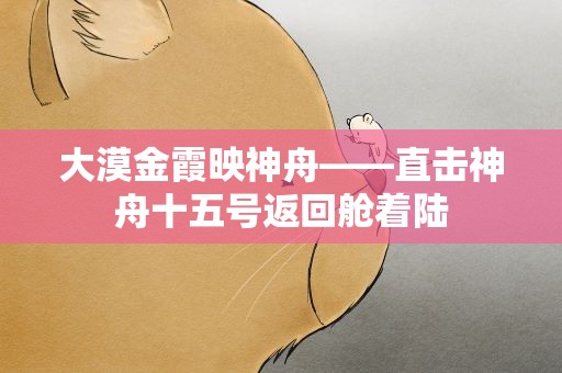 大漠金霞映神舟——直击神舟十五号返回舱着陆