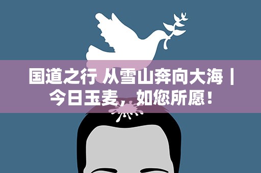 国道之行 从雪山奔向大海｜今日玉麦，如您所愿！