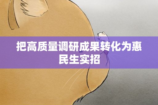 把高质量调研成果转化为惠民生实招