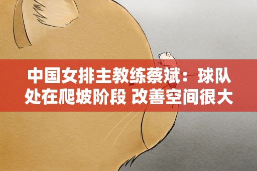 中国女排主教练蔡斌：球队处在爬坡阶段 改善空间很大