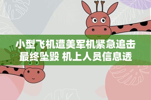 小型飞机遭美军机紧急追击最终坠毁 机上人员信息透露！