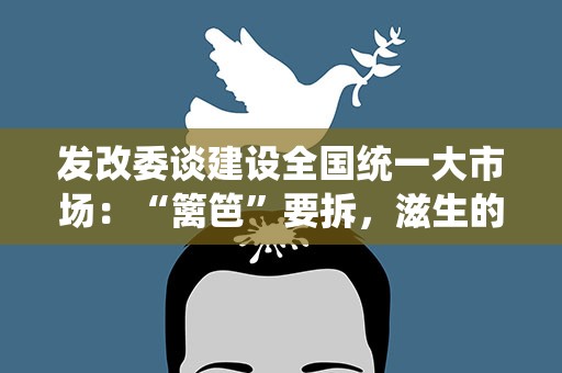 发改委谈建设全国统一大市场：“篱笆”要拆，滋生的“土壤”也要换